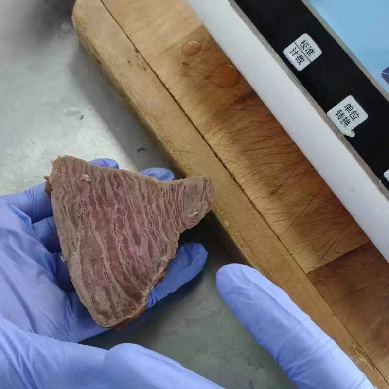 6 月初，菲特研發(fā)部到青島特斯特公司深入交流