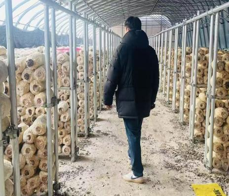 韓國(guó)重要客戶到我司（健達(dá)）進(jìn)行實(shí)地考察